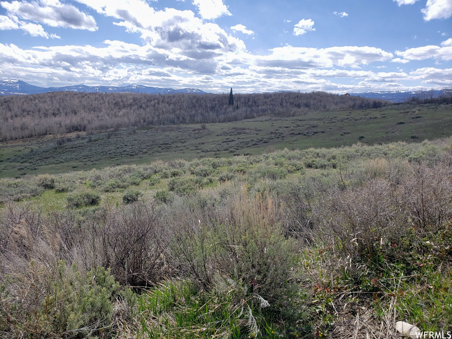 13 BERN NOUNAN, Bern, Idaho 83220, ,Land,For sale,BERN NOUNAN,1809430