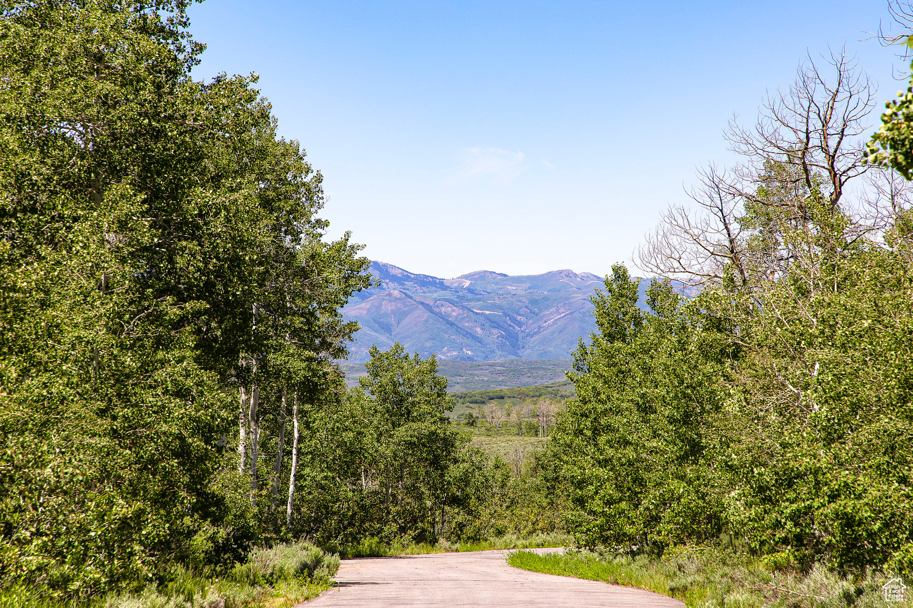 9482 E FOREST CREEK #5, Heber City, Utah 84032, ,Land,For sale,FOREST CREEK,1810825