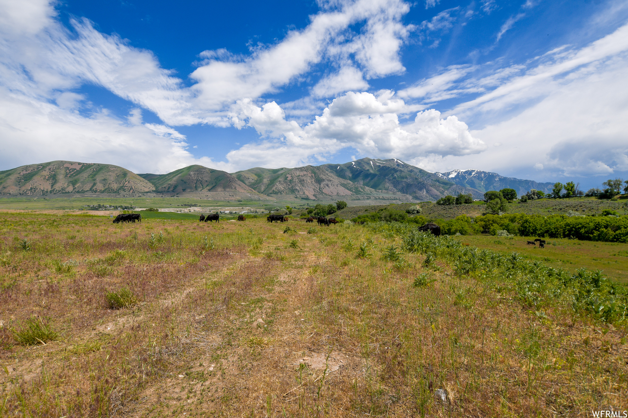 Deweyville UT 84309 746,410