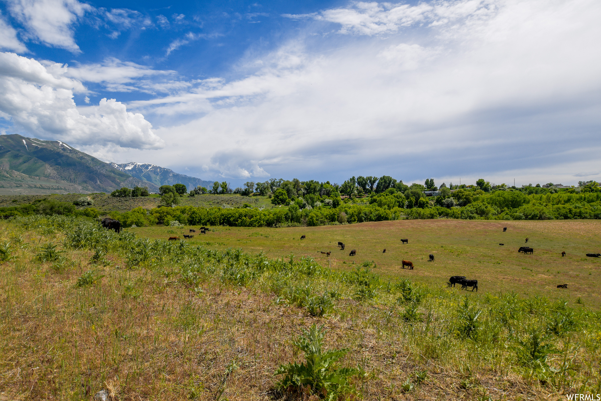 Deweyville UT 84309 746,410