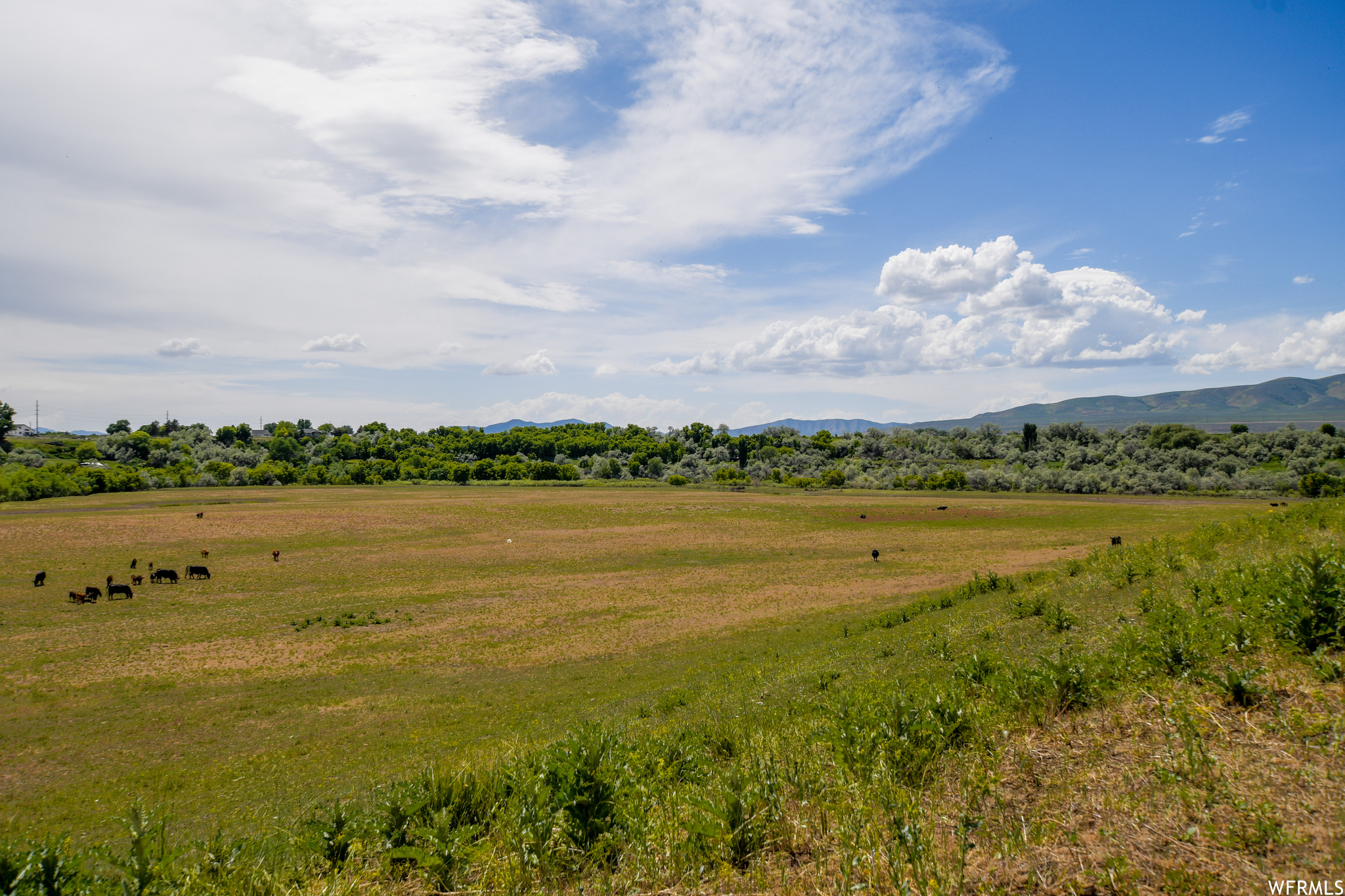 Deweyville UT 84309 746,410