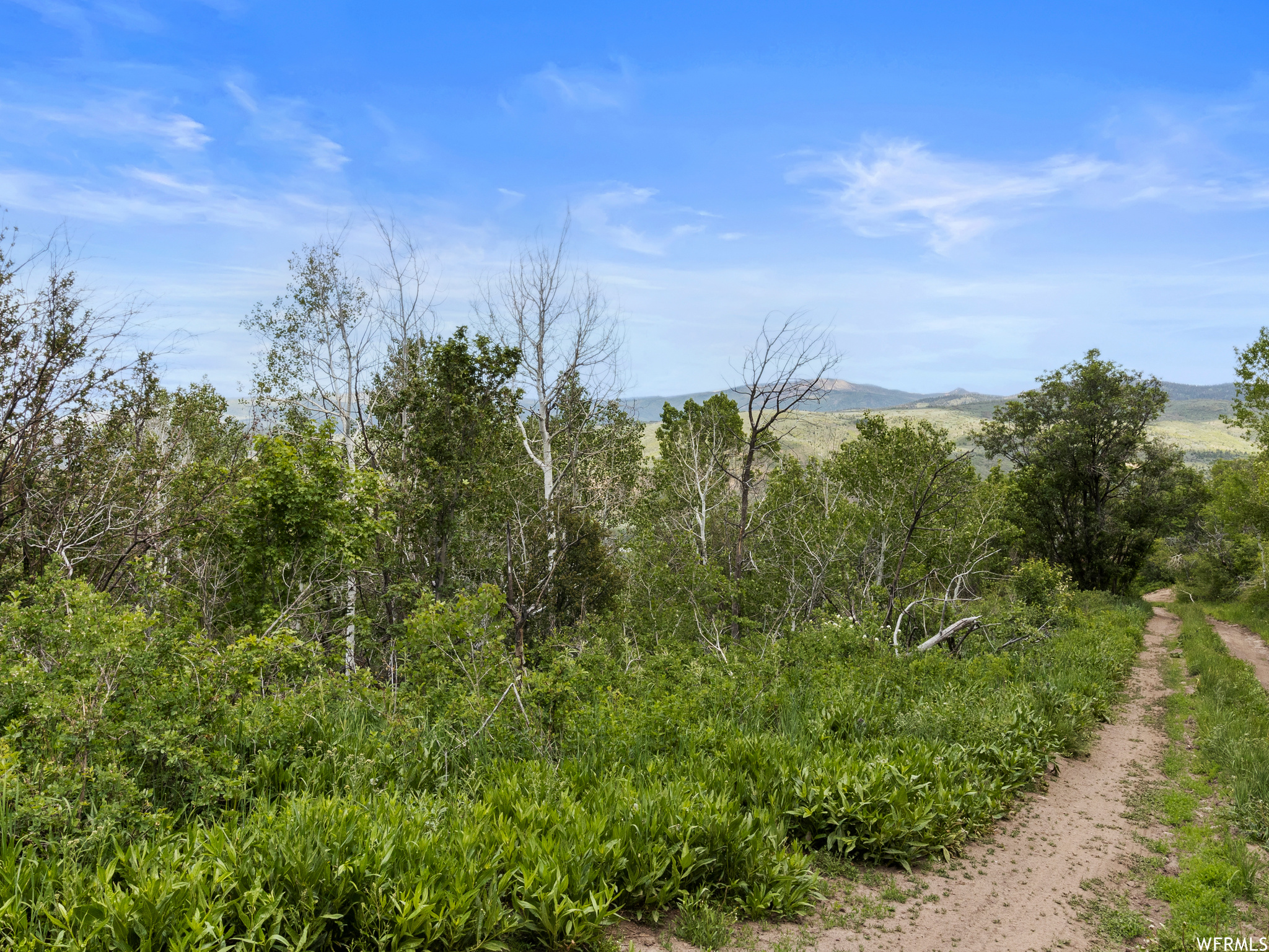 4891 S WOODLAND, Kamas, Utah 84036, ,Land,For sale,WOODLAND,1820930