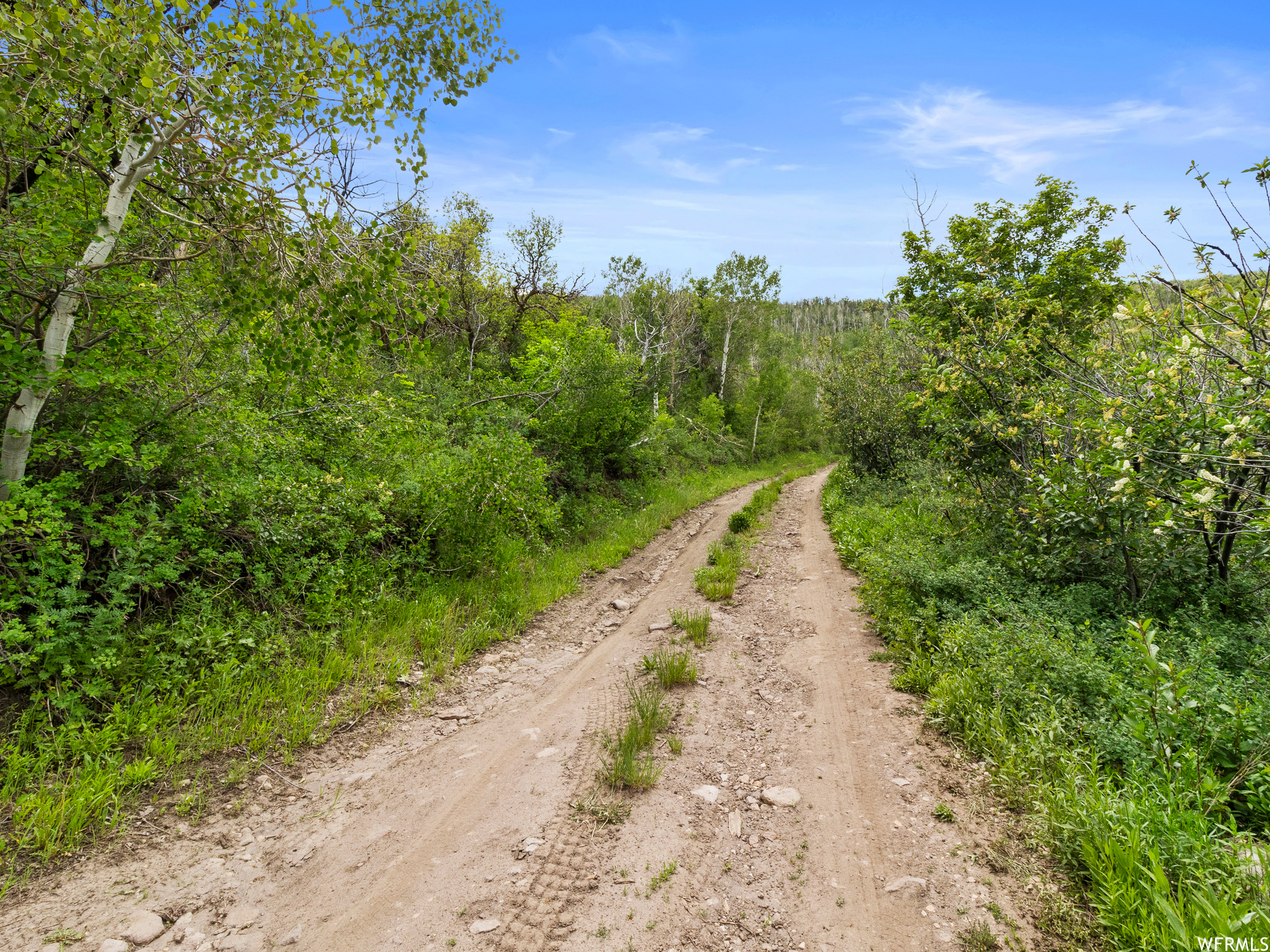 4891 S WOODLAND, Kamas, Utah 84036, ,Land,For sale,WOODLAND,1820930