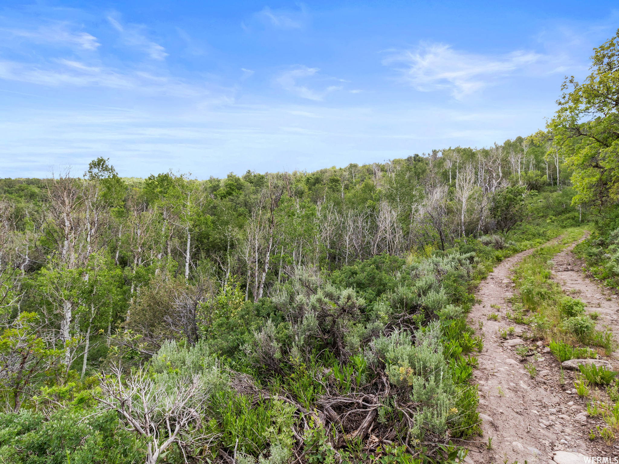 4891 S WOODLAND, Kamas, Utah 84036, ,Land,For sale,WOODLAND,1820930