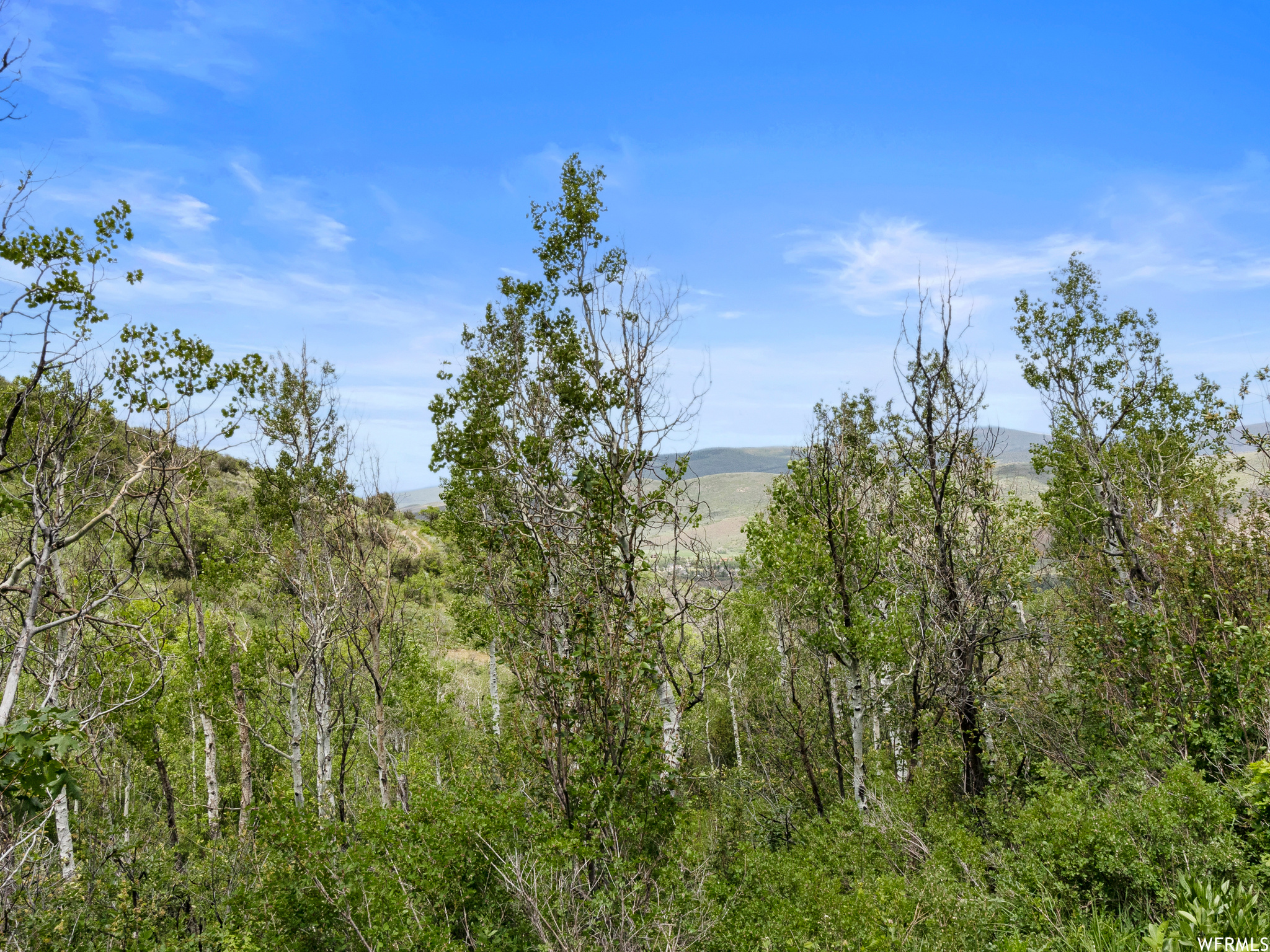 4891 S WOODLAND, Kamas, Utah 84036, ,Land,For sale,WOODLAND,1820930