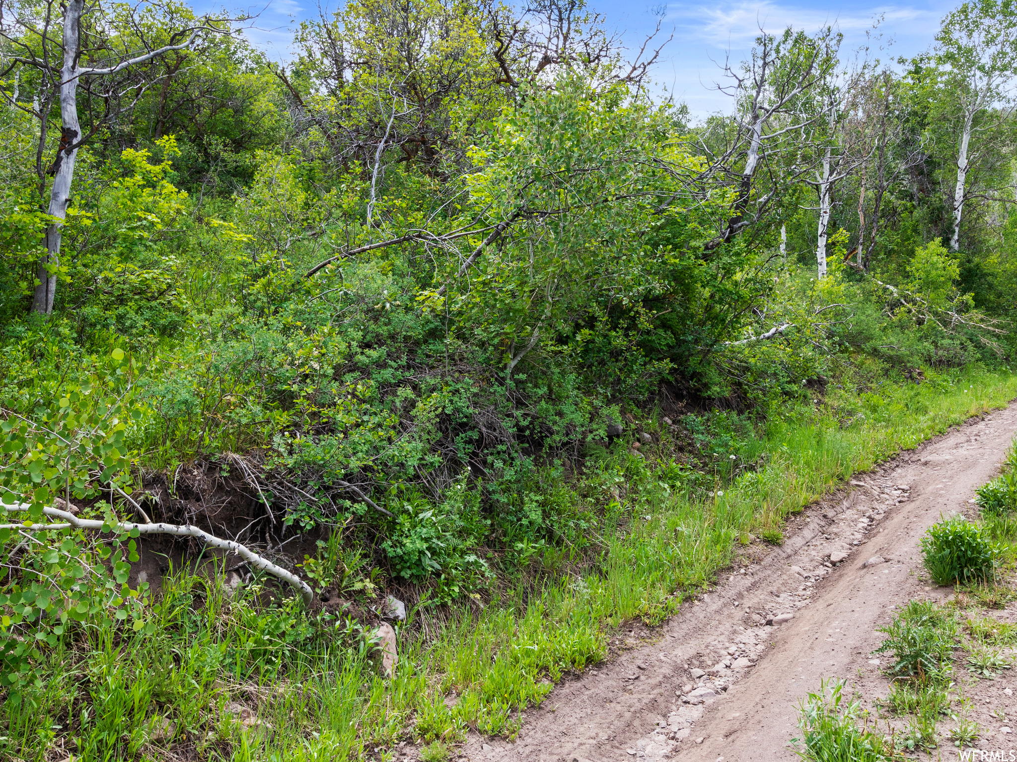 4891 S WOODLAND, Kamas, Utah 84036, ,Land,For sale,WOODLAND,1820930