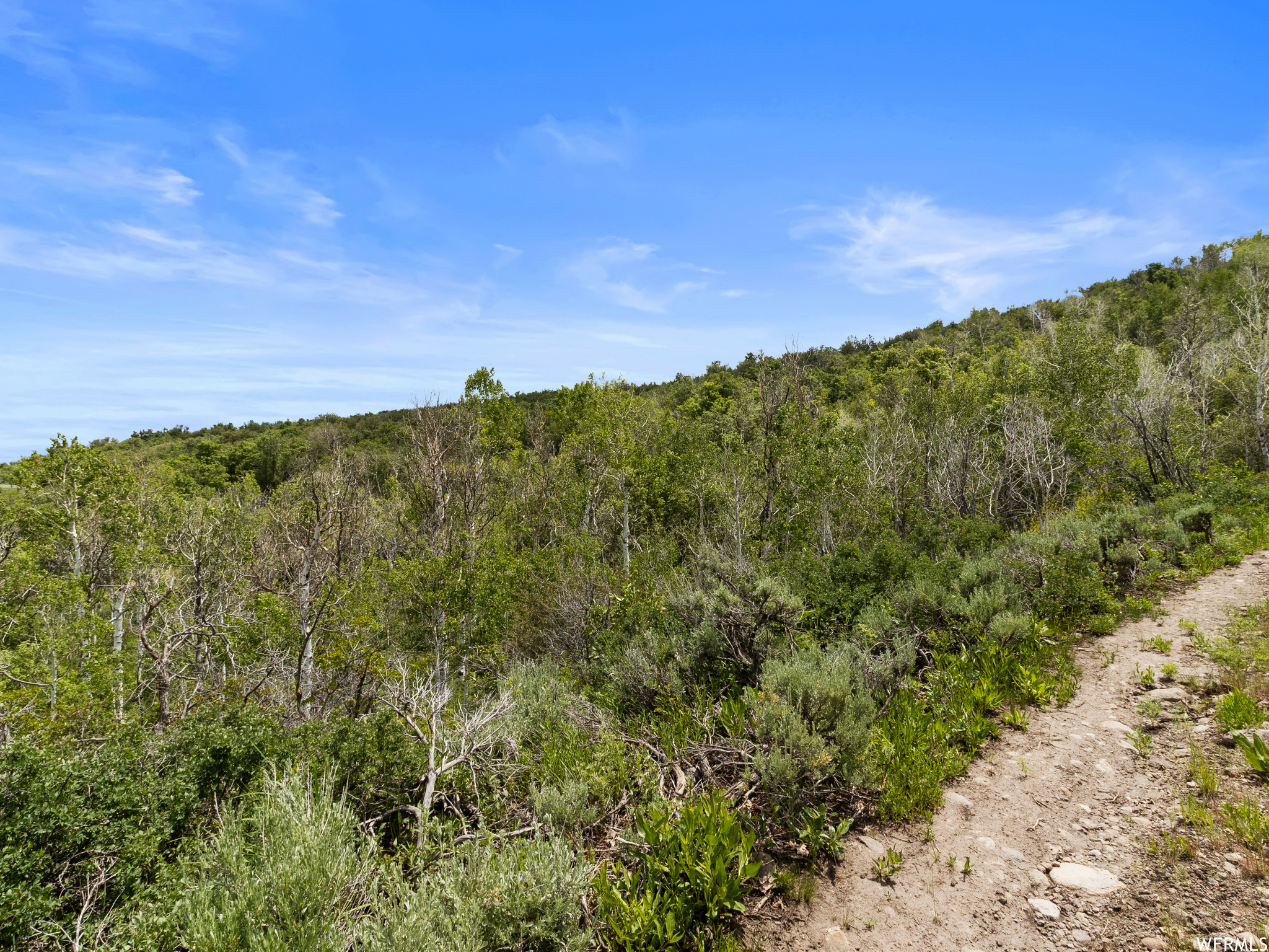 4891 S WOODLAND, Kamas, Utah 84036, ,Land,For sale,WOODLAND,1820930