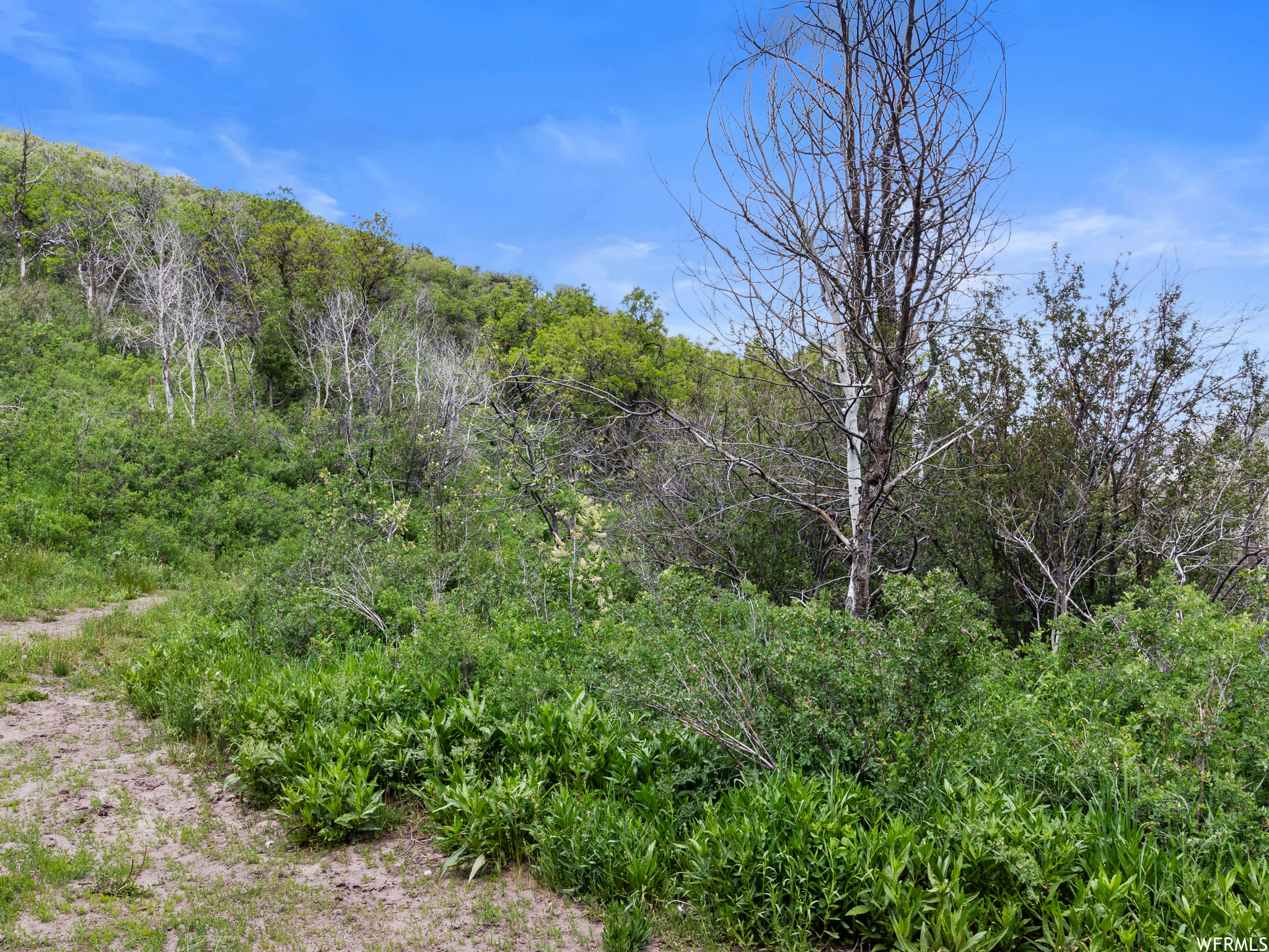 4891 S WOODLAND, Kamas, Utah 84036, ,Land,For sale,WOODLAND,1820930