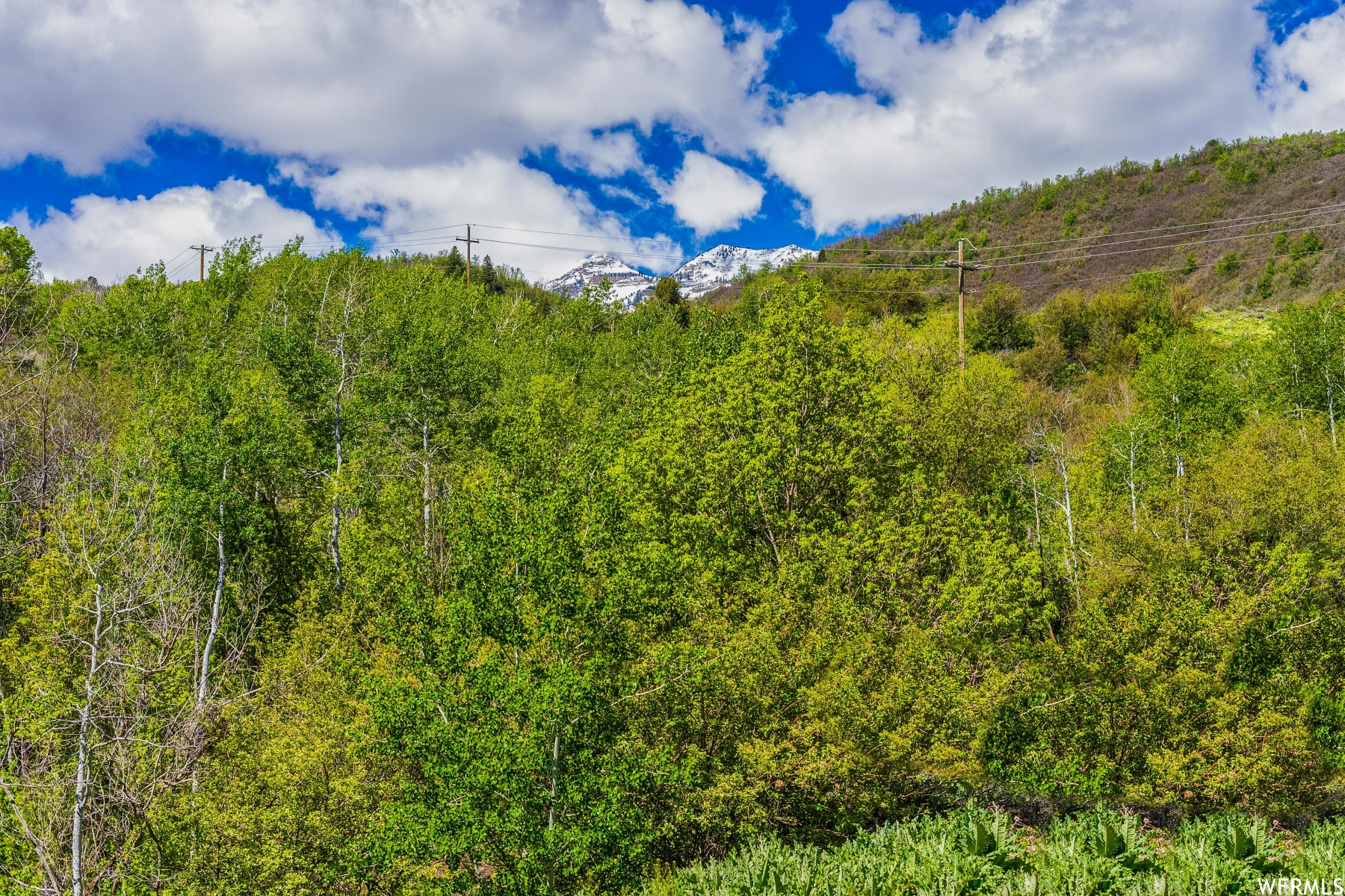 9676 S OLD HWY 189 W, Heber City, Utah 84032, ,Land,For sale,OLD HWY 189,1821439