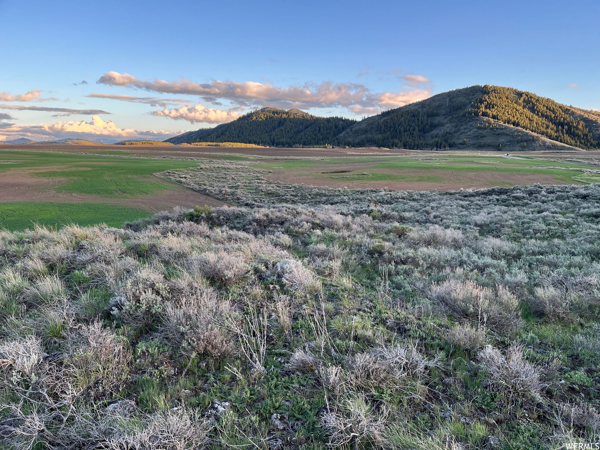 0, Soda Springs, Idaho 83276, ,Land,For sale,1822124