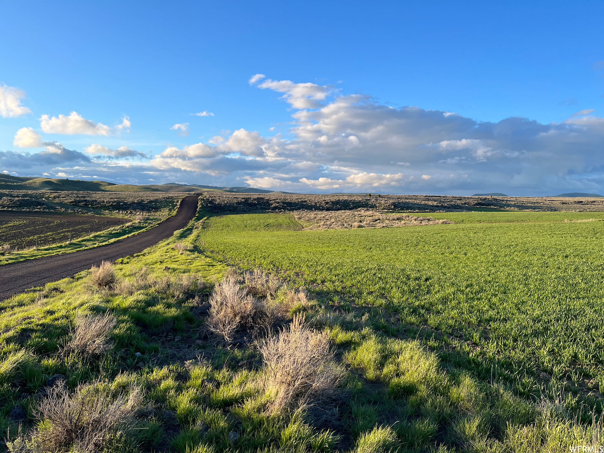 0, Soda Springs, Idaho 83276, ,Land,For sale,1822124