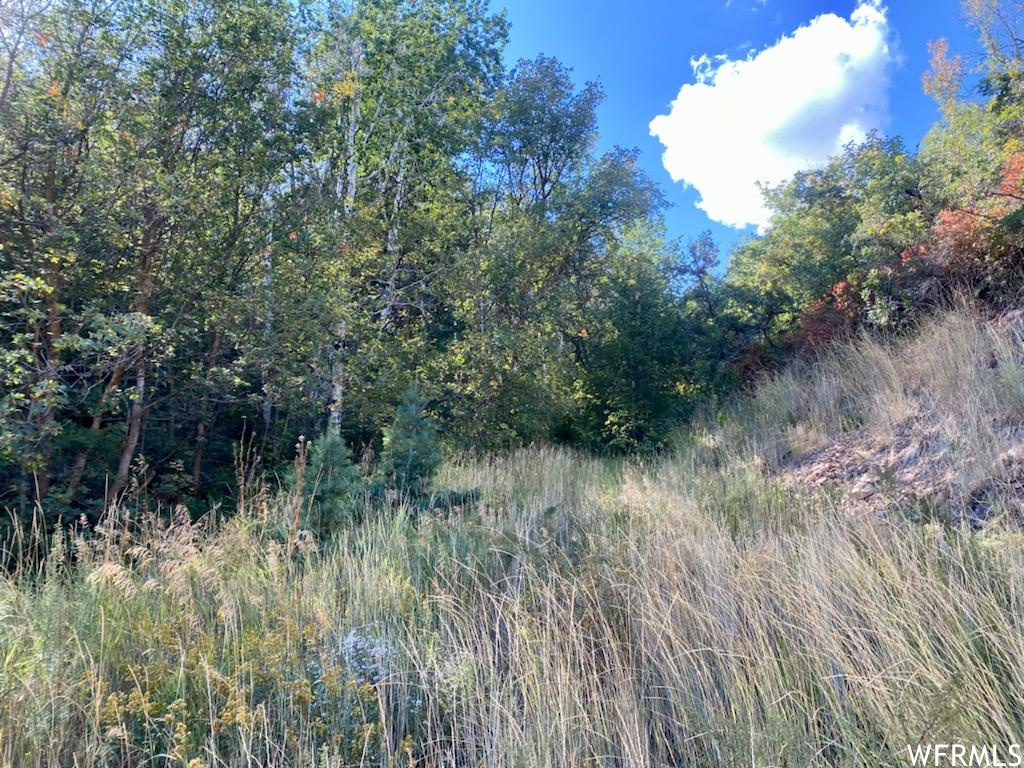 111 UPPER WHITTEMORE #111, Springville, Utah 84663, ,Land,For sale,UPPER WHITTEMORE,1827536