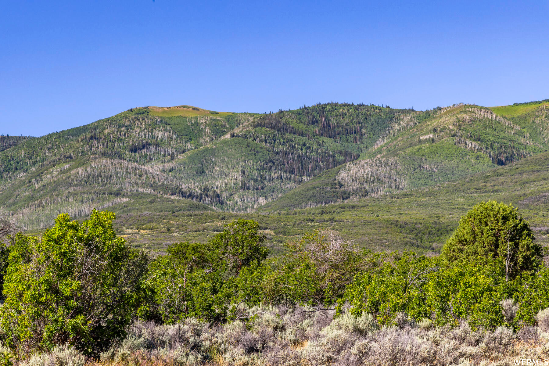 2120 LITTLE VALLEY, Wallsburg, Utah 84082, ,Land,For sale,LITTLE VALLEY,1829359