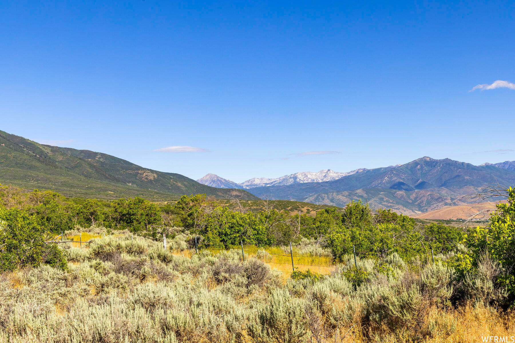 2120 LITTLE VALLEY, Wallsburg, Utah 84082, ,Land,For sale,LITTLE VALLEY,1829359