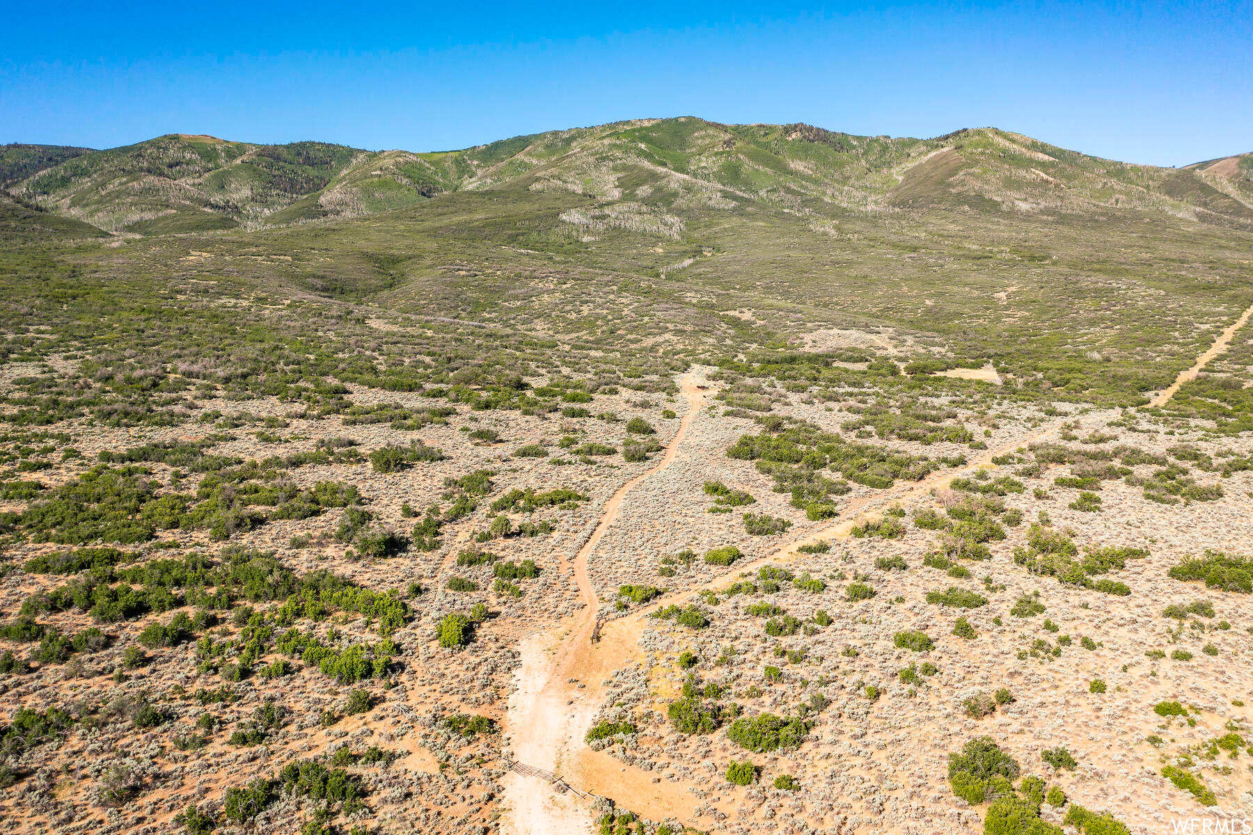 2120 LITTLE VALLEY, Wallsburg, Utah 84082, ,Land,For sale,LITTLE VALLEY,1829359