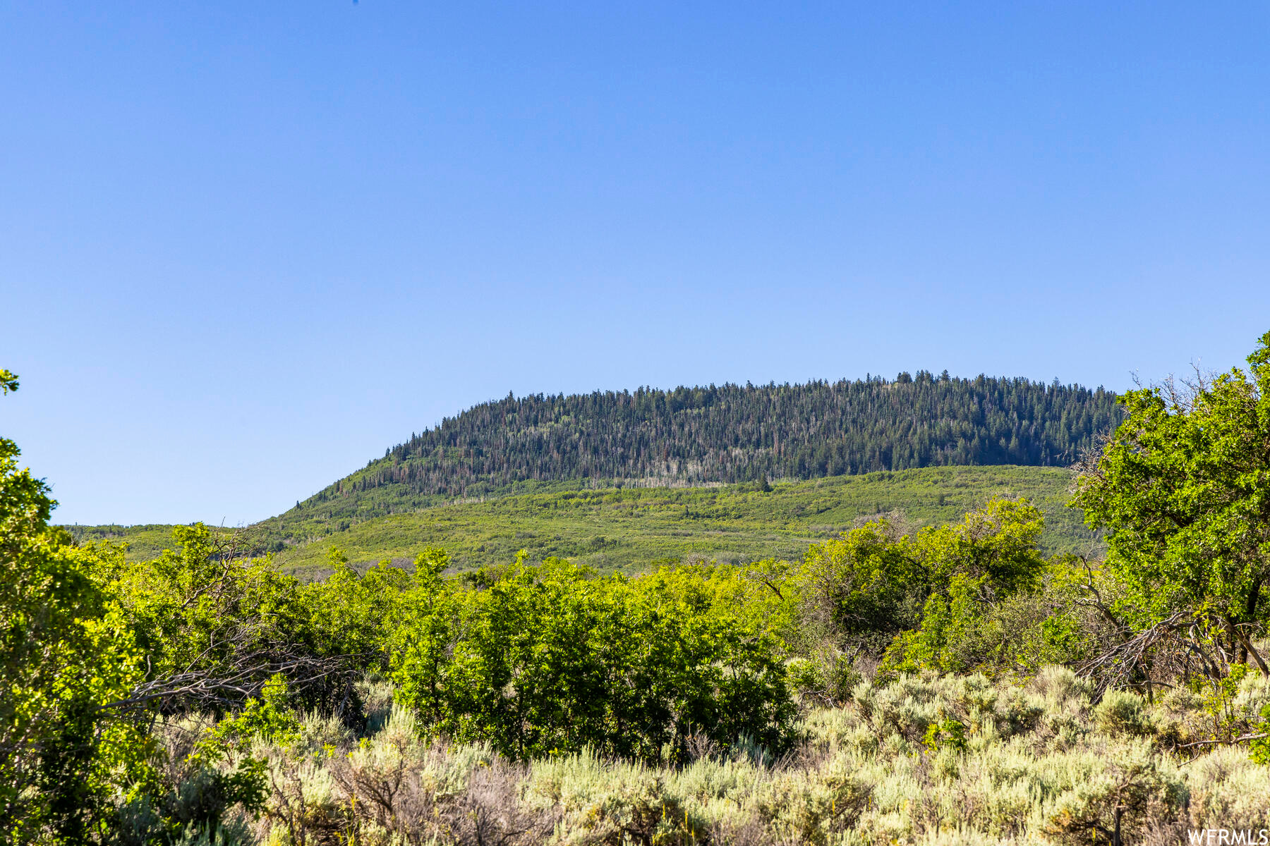 2120 LITTLE VALLEY, Wallsburg, Utah 84082, ,Land,For sale,LITTLE VALLEY,1829359