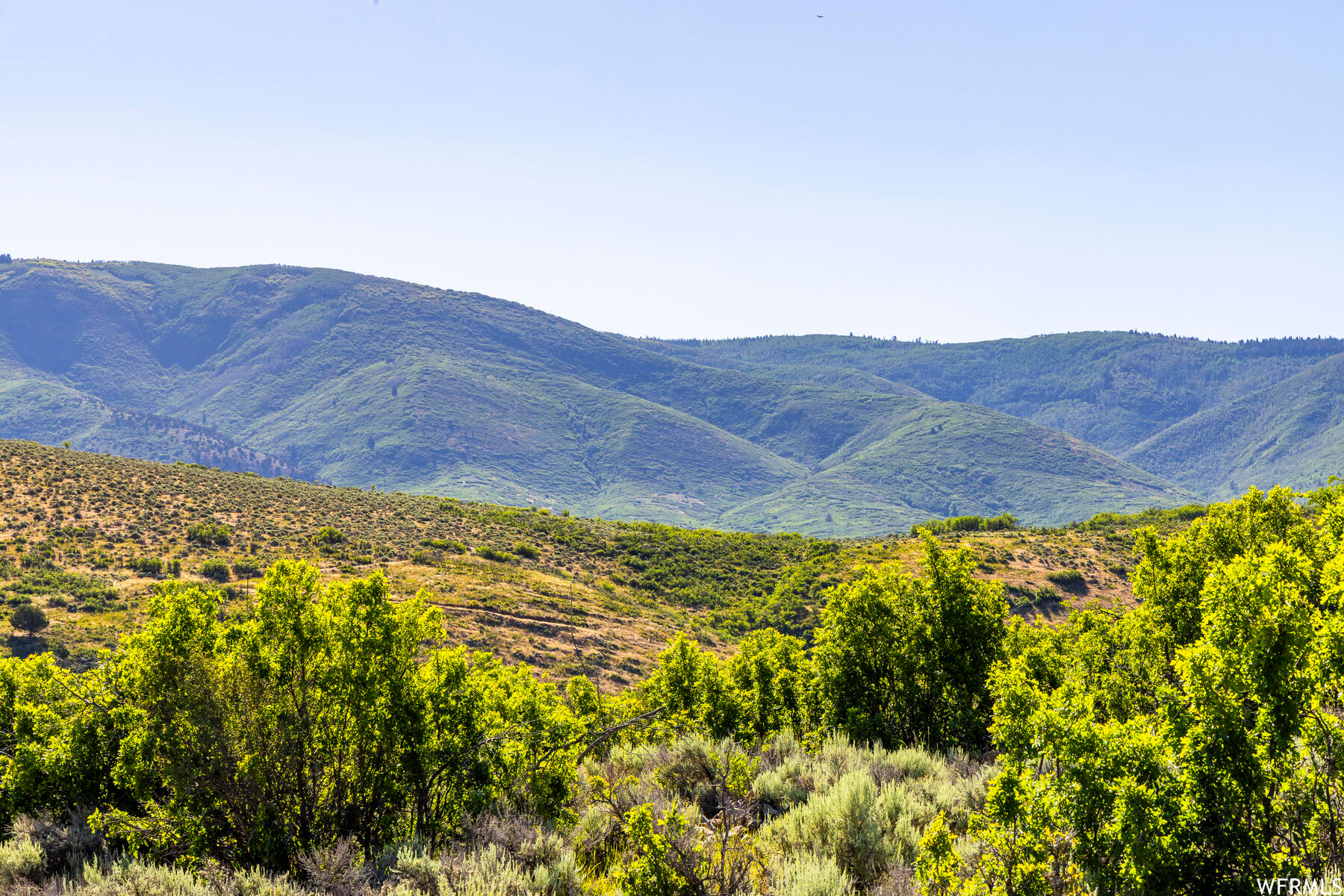 2120 LITTLE VALLEY, Wallsburg, Utah 84082, ,Land,For sale,LITTLE VALLEY,1829359