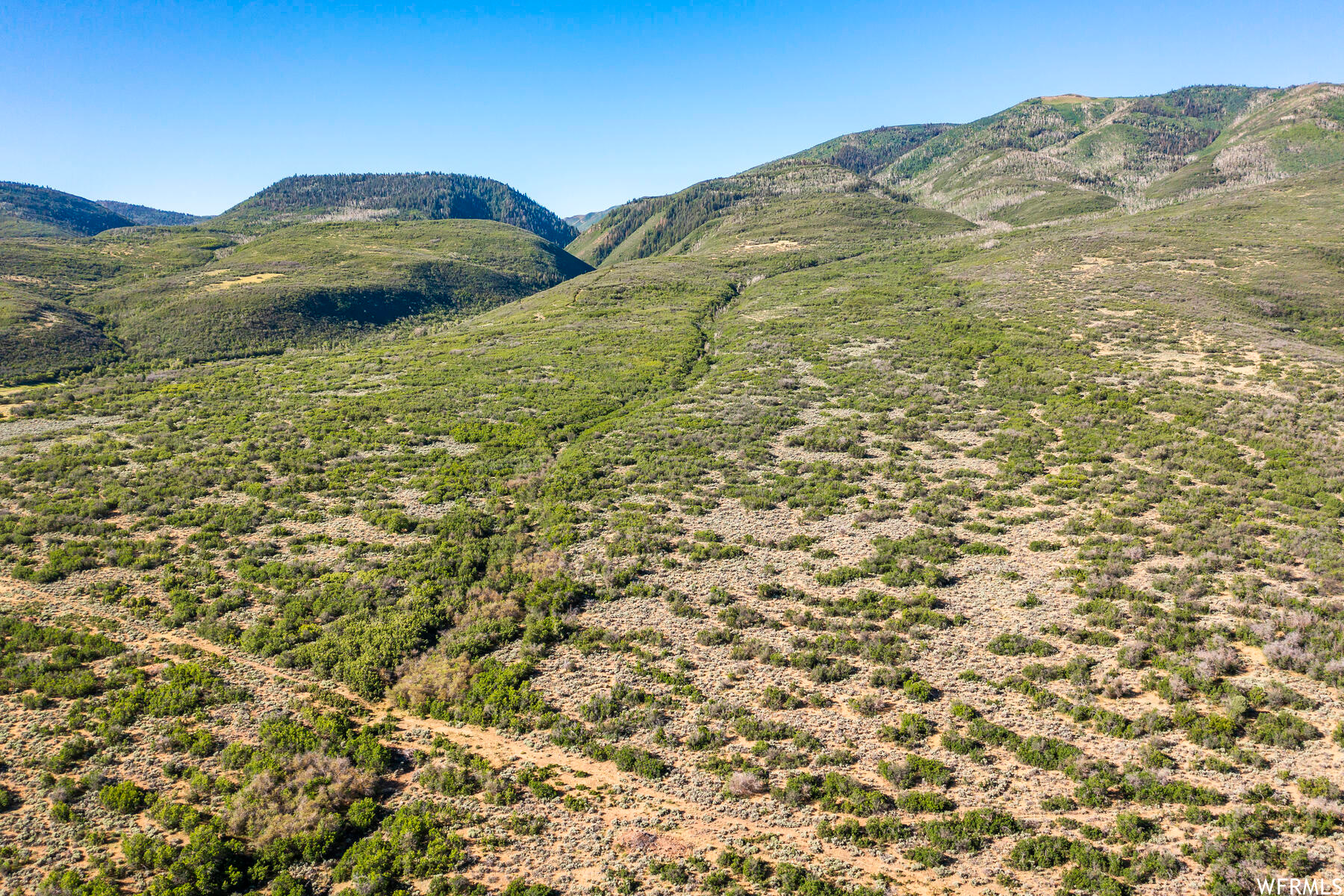 2120 LITTLE VALLEY, Wallsburg, Utah 84082, ,Land,For sale,LITTLE VALLEY,1829359