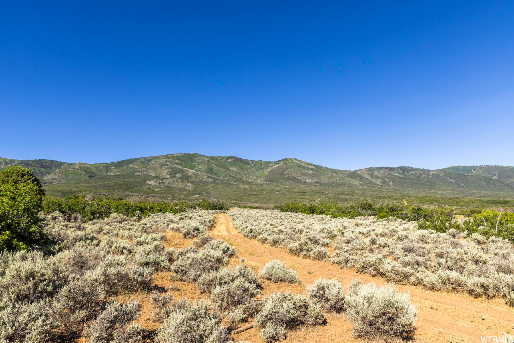 2120 LITTLE VALLEY, Wallsburg, Utah 84082, ,Land,For sale,LITTLE VALLEY,1829359