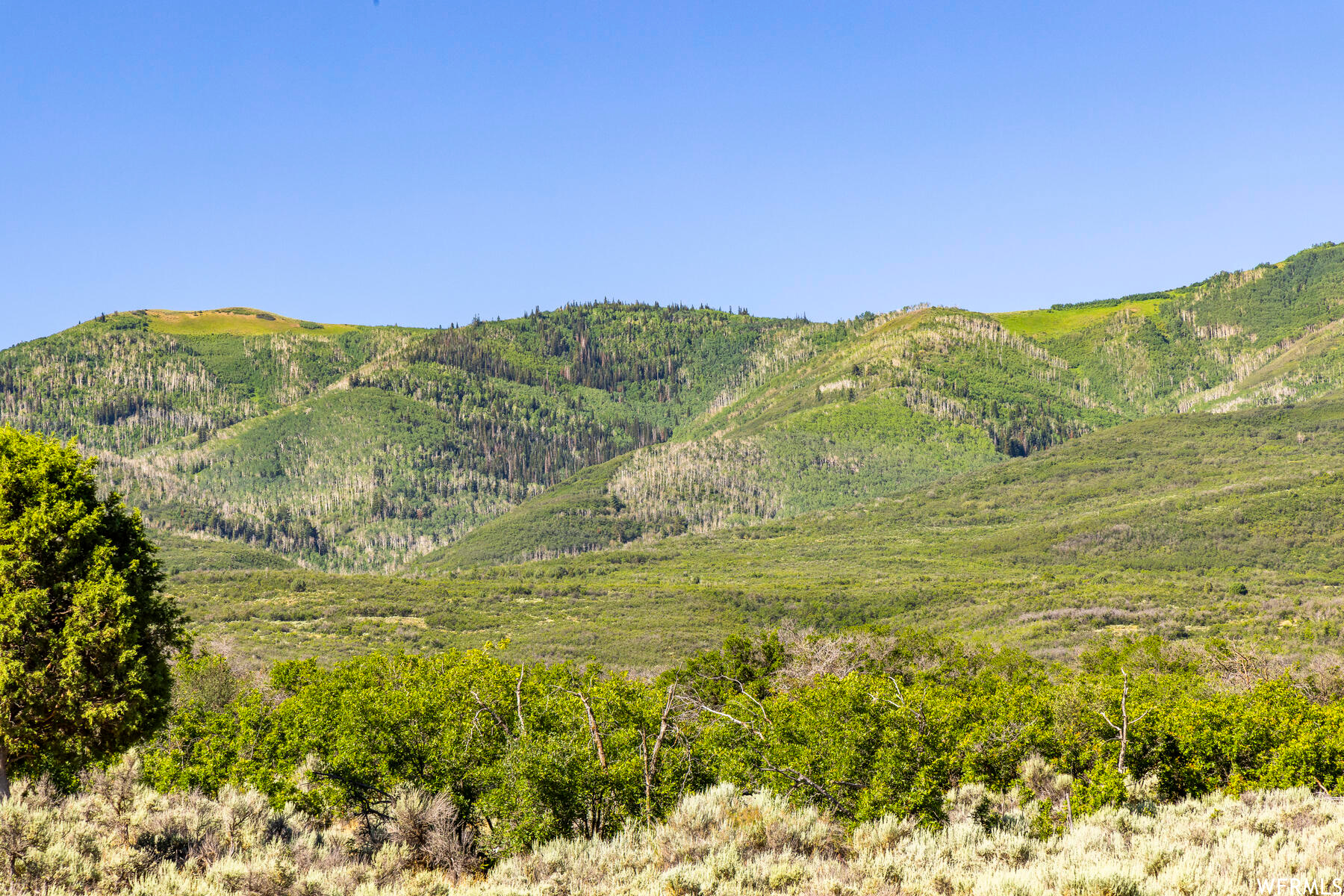 2120 LITTLE VALLEY, Wallsburg, Utah 84082, ,Land,For sale,LITTLE VALLEY,1829359