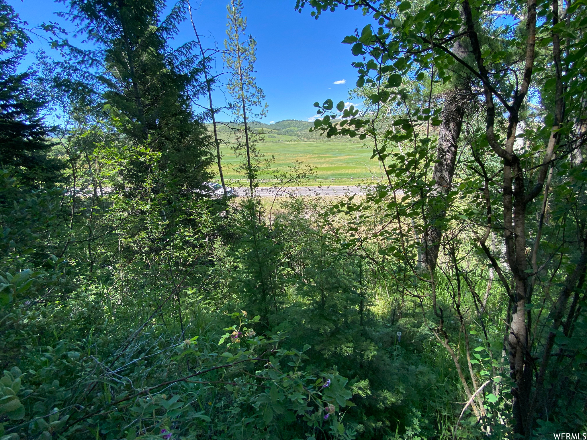 200 HIGHWAY 34 #2, Freedom, Wyoming 83120, ,Land,For sale,HIGHWAY 34,1832706