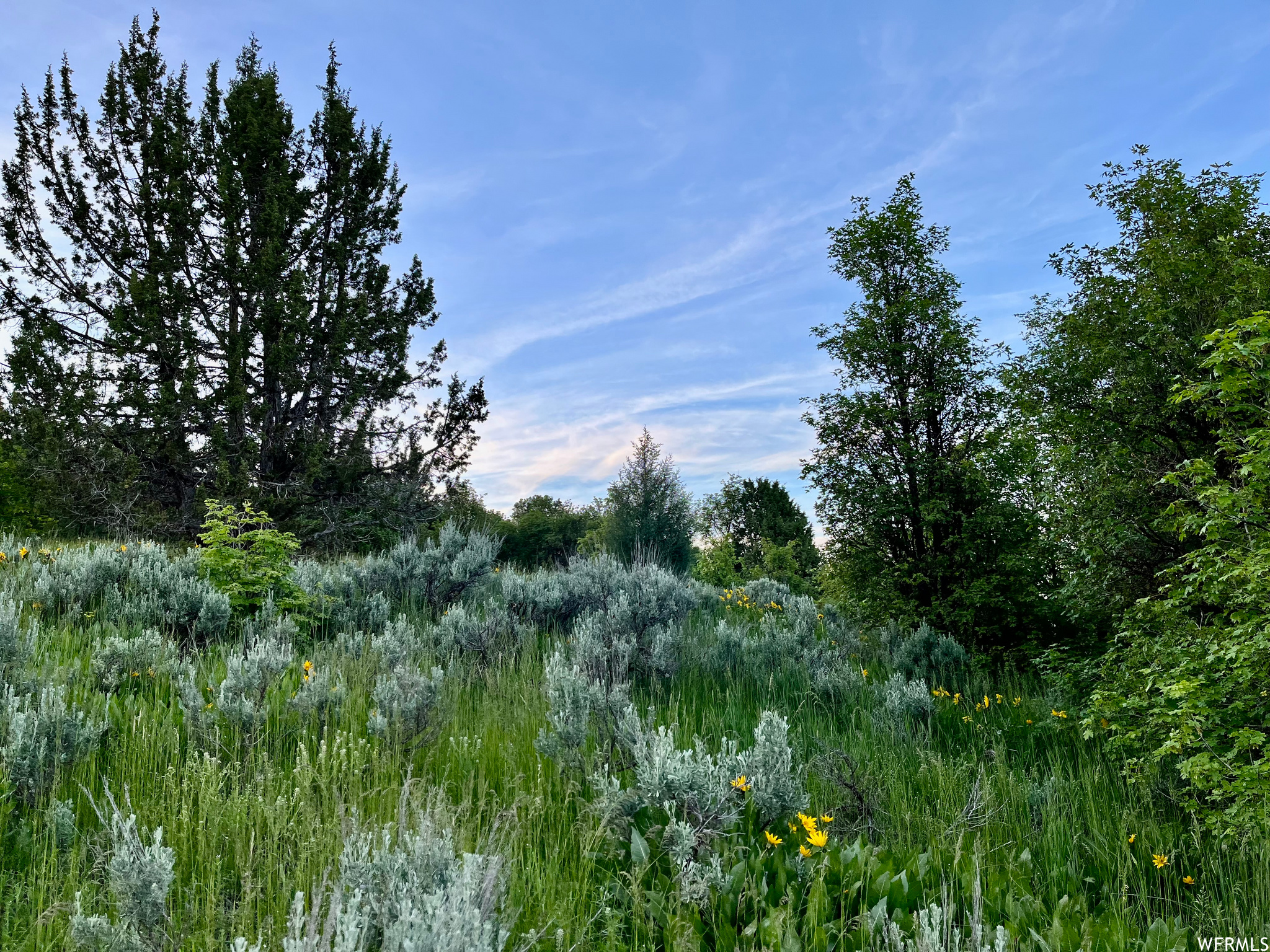 Preston, Idaho 83263, ,Land,For sale,1833064