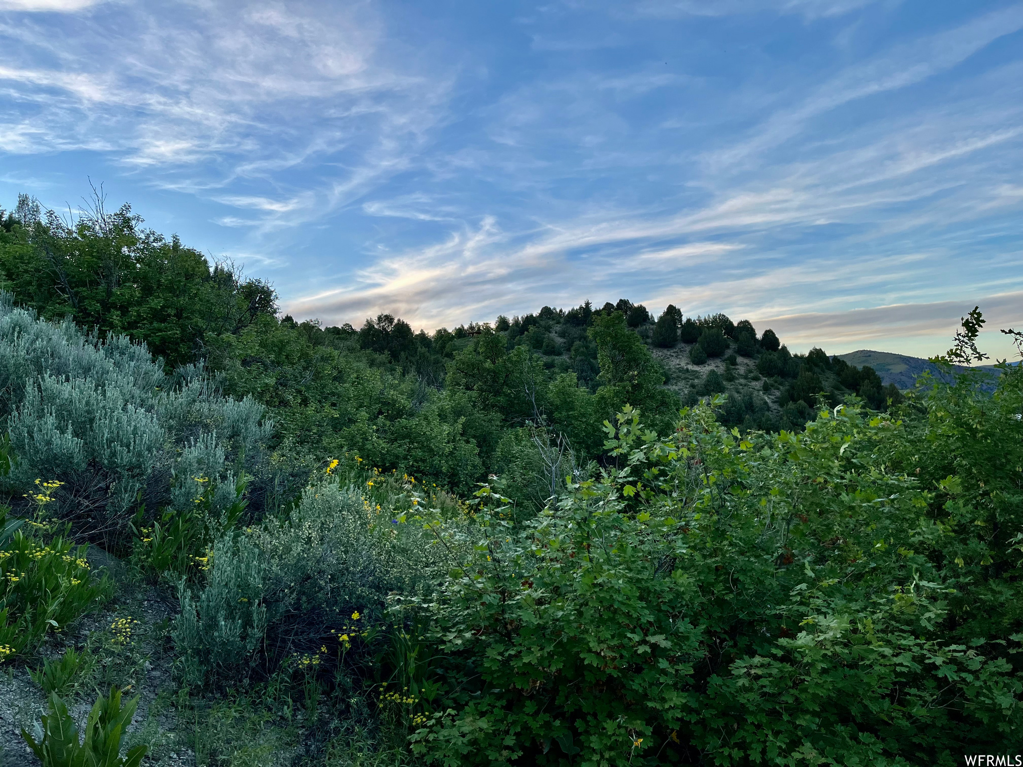 Preston, Idaho 83263, ,Land,For sale,1833064