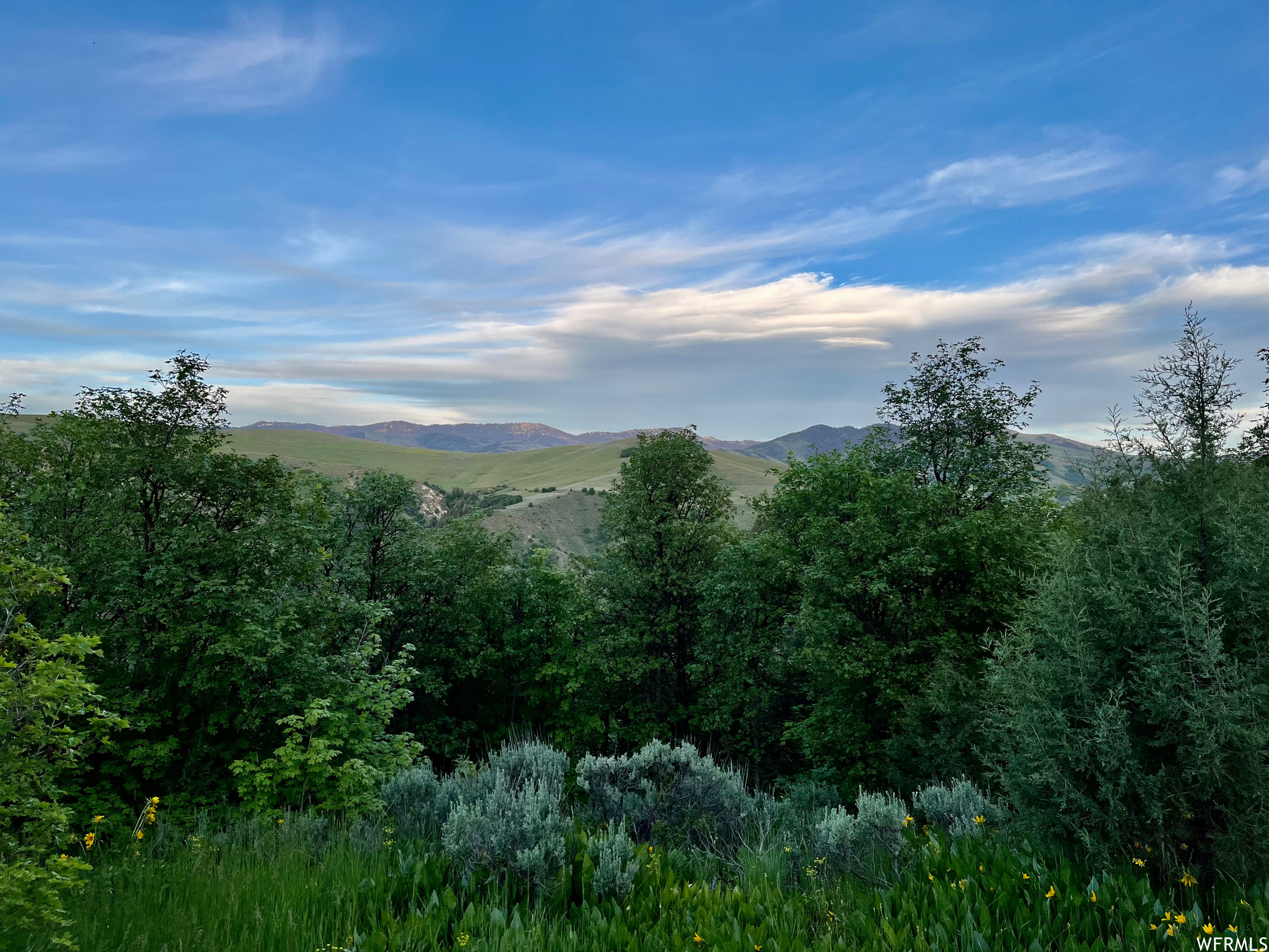 Preston, Idaho 83263, ,Land,For sale,1833064