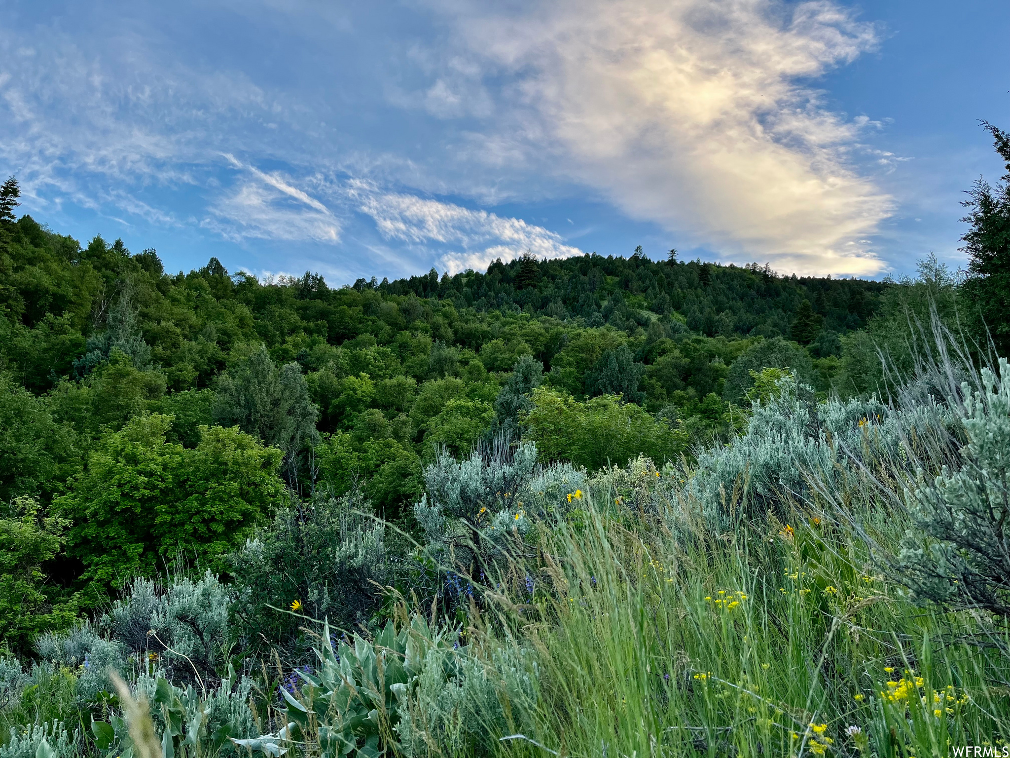 Preston, Idaho 83263, ,Land,For sale,1833064