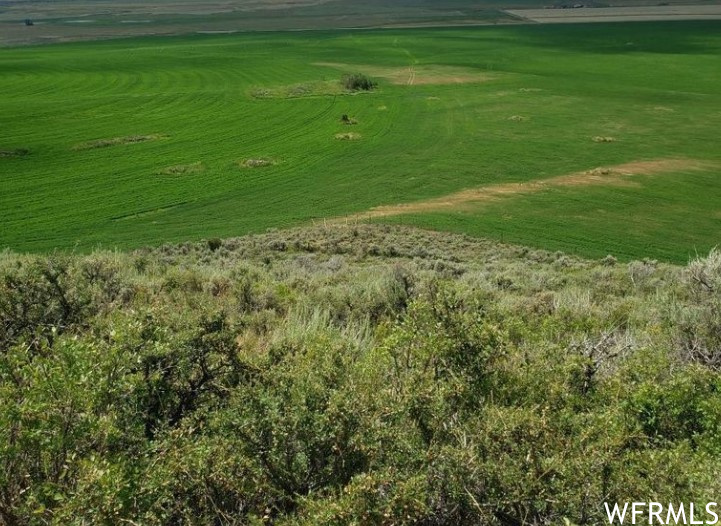120 N WY STATLE LINE 89, Cokeville, Wyoming 83114, ,Land,For sale,WY STATLE LINE 89,1840776