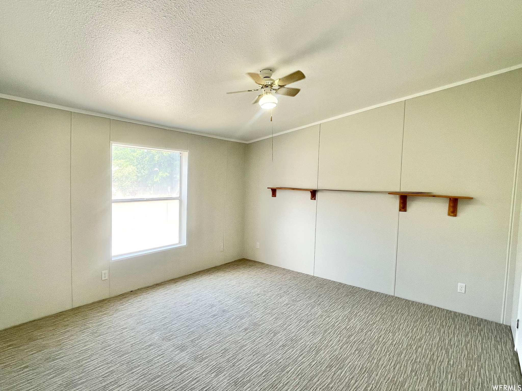 Spare room featuring lofted ceiling, a ceiling fan, carpet, and natural light
