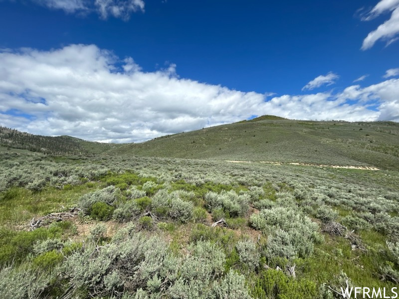 9 LAKE VIEW #9, Scofield, Utah 84526, ,Land,For sale,LAKE VIEW,1848939