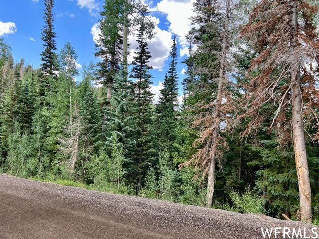 390 W SPRUCE S, Brian Head, Utah 84719, ,Land,For sale,SPRUCE,1850826