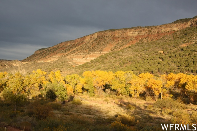 Virgin, Utah 84779, ,Land,For sale,1852190