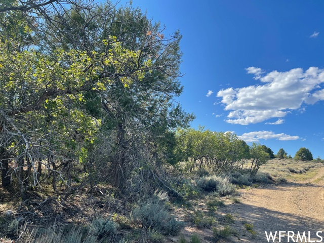 0, Monticello, Utah 84535, ,Land,For sale,1853772