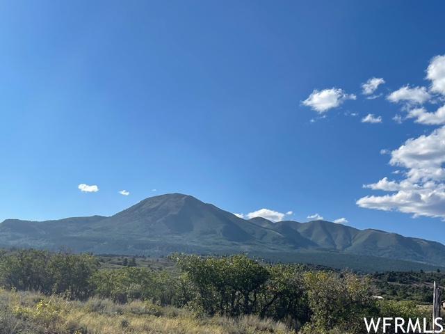 0, Monticello, Utah 84535, ,Land,For sale,1853772