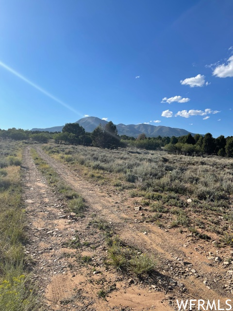 0, Monticello, Utah 84535, ,Land,For sale,1853772