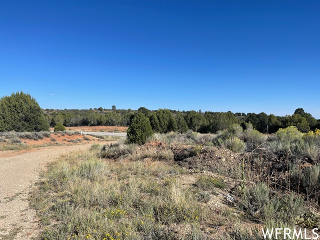 0, Monticello, Utah 84535, ,Land,For sale,1853772