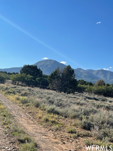 0, Monticello, Utah 84535, ,Land,For sale,1853772