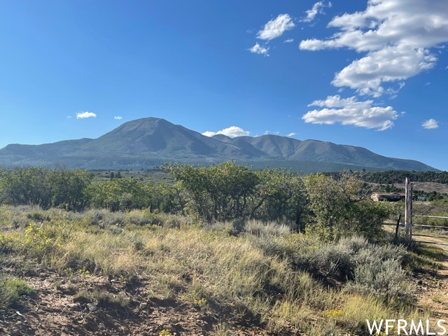 0, Monticello, Utah 84535, ,Land,For sale,1853772