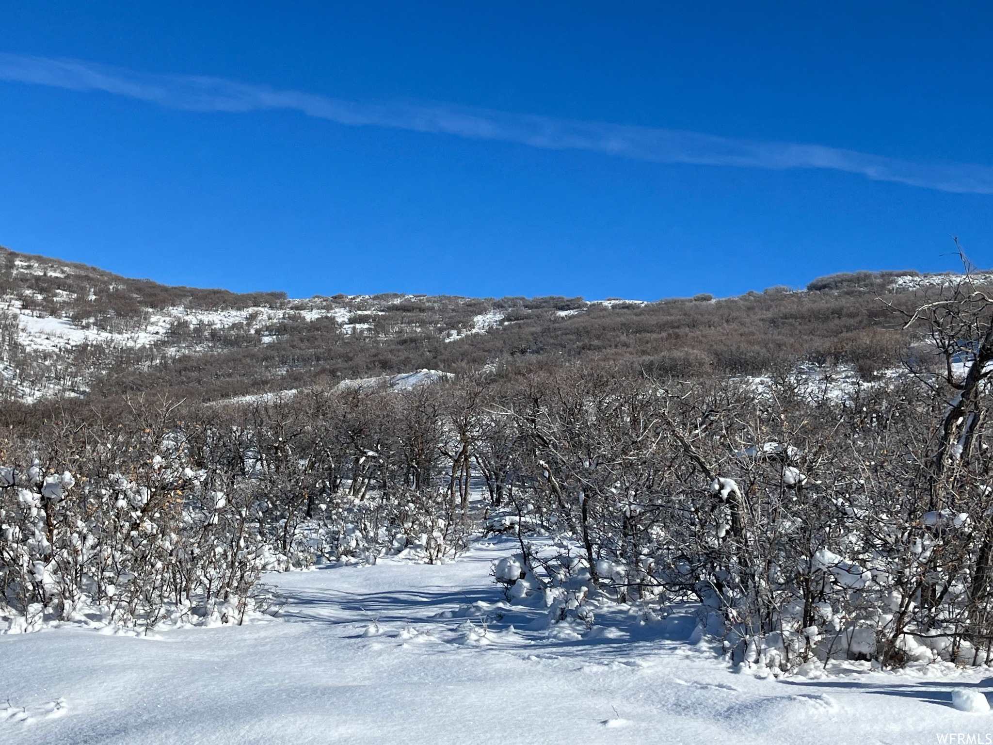 1900 W RED HAWK, Park City, Utah 84098, ,Land,For sale,RED HAWK,1855603