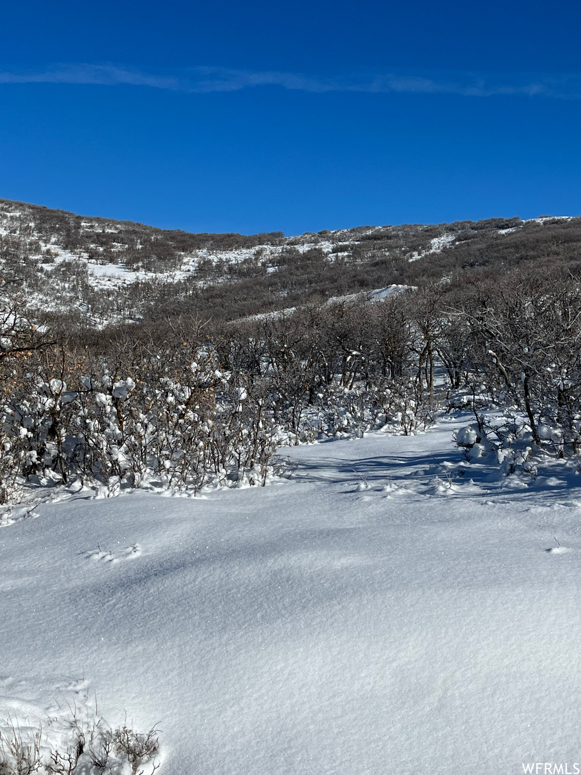 1900 W RED HAWK, Park City, Utah 84098, ,Land,For sale,RED HAWK,1855603