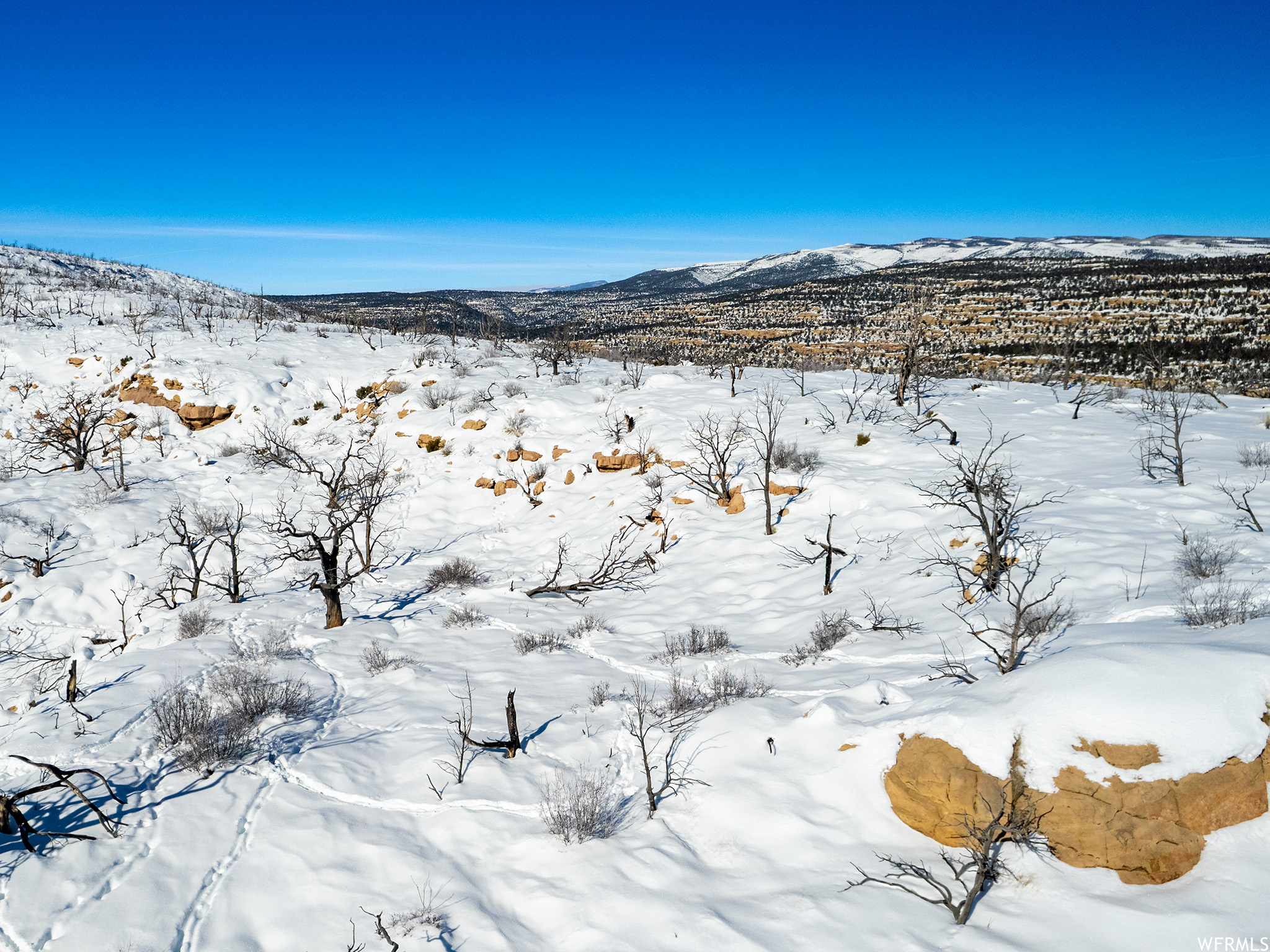 Duchesne, Utah 84021, ,Land,For sale,1856084