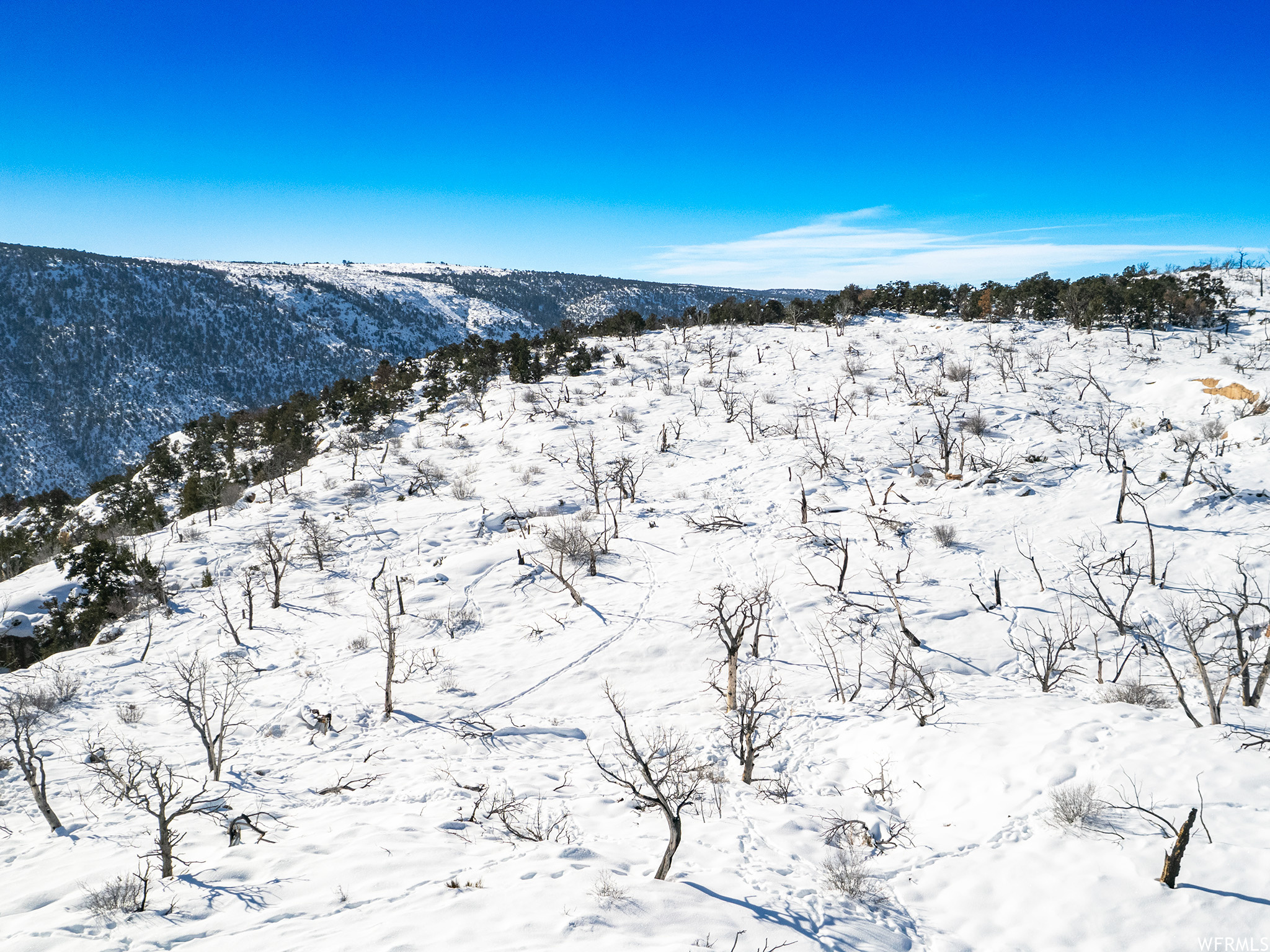 Duchesne, Utah 84021, ,Land,For sale,1856084