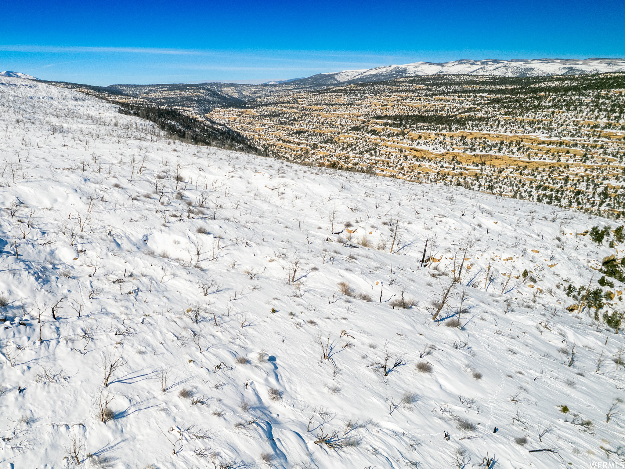 Duchesne, Utah 84021, ,Land,For sale,1856088