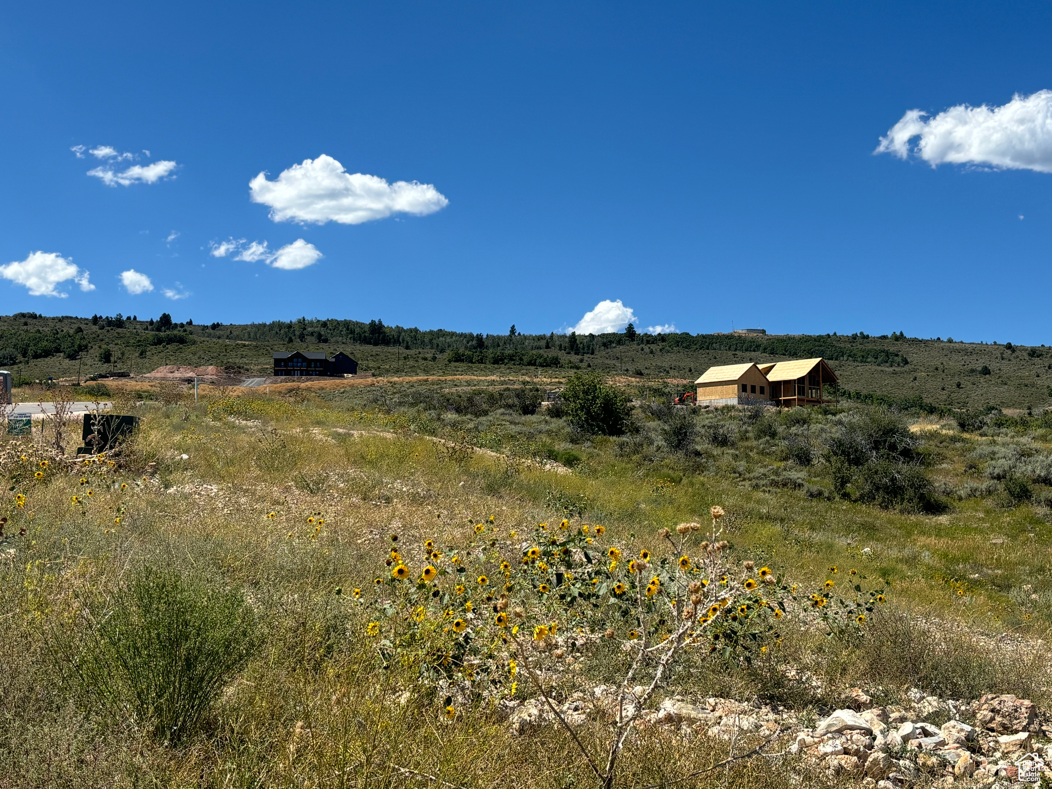 View of local wilderness with a rural view