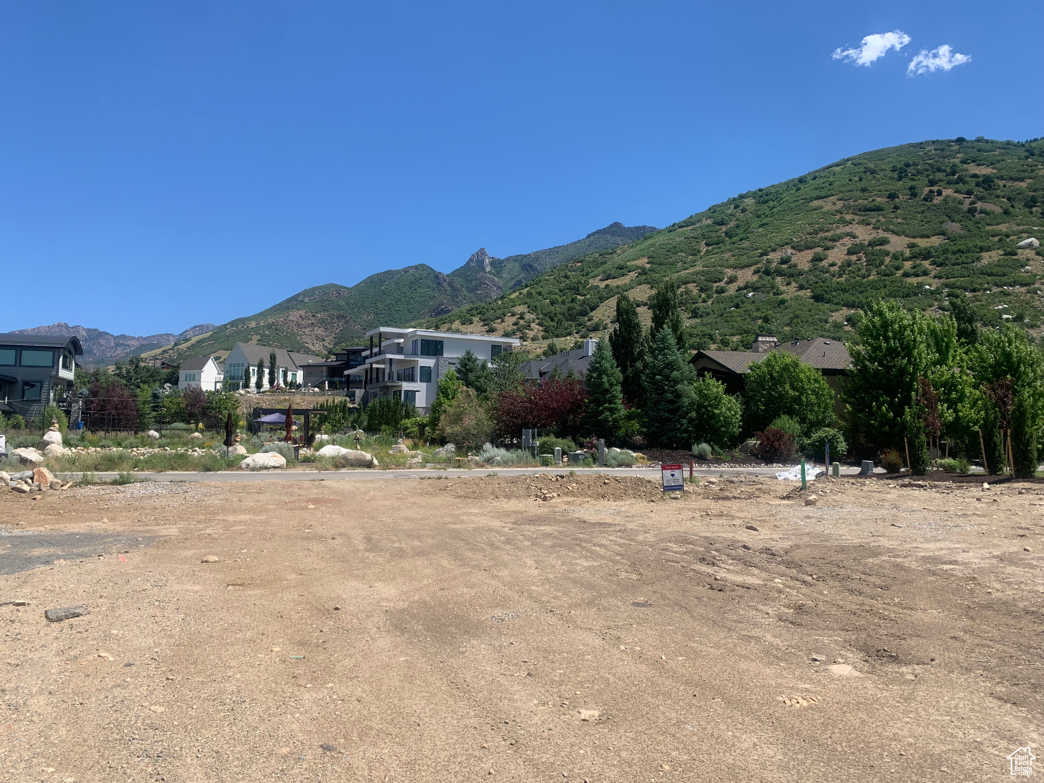 View to north from center of lot.