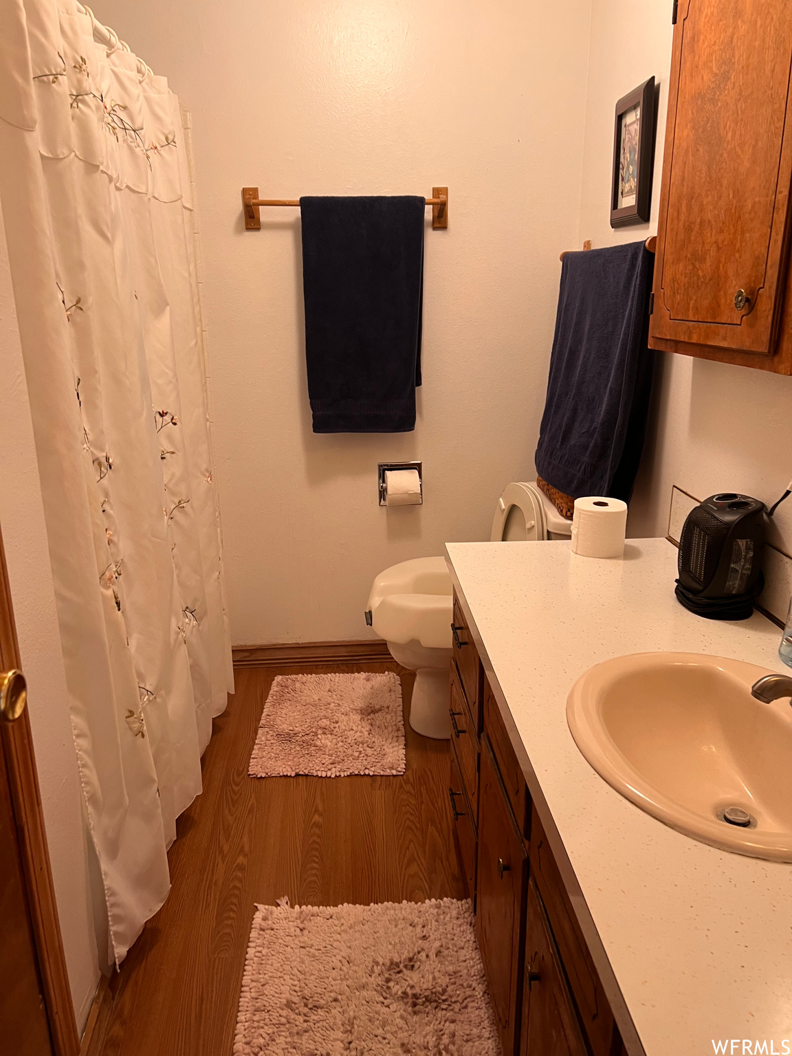 Bathroom featuring wood-type flooring, toilet, vanity, and shower curtain