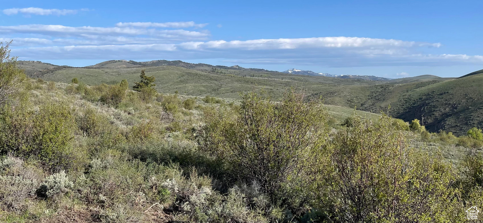 1430 RESERVE #17, Fish Haven, Idaho 83287, ,Land,For sale,RESERVE,1867111