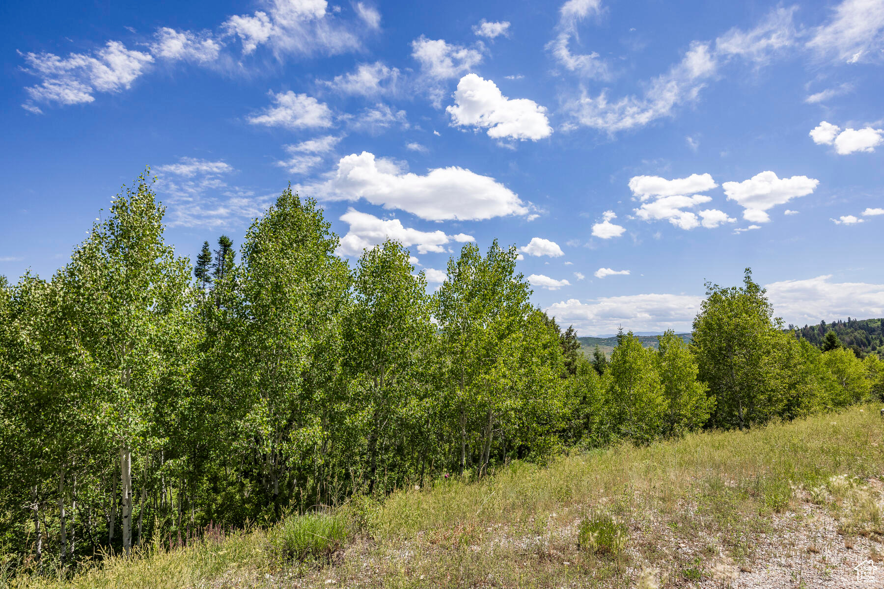 8719 PARLEYS #8, Park City, Utah 84098, ,Land,For sale,PARLEYS,1867381